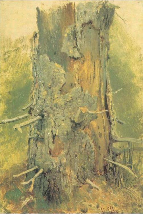Ivan Shishkin Bark on Dried Up Tree oil painting picture